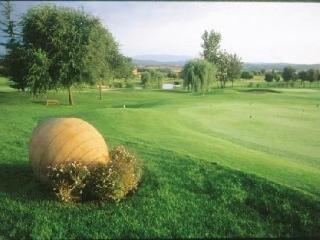 Birdie 4*